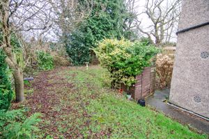 Photo 11- click for photo gallery